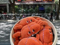 -黄记大闸蟹专卖店·活蟹·醉蟹