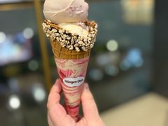 -哈根达斯(SM店)