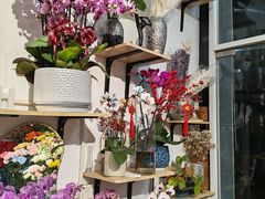 -FEI FEI FLOWER鲜花店·气球派对·宝宝宴布置(虹口德必运动Loft店)