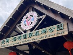 -上海海湾国家森林公园