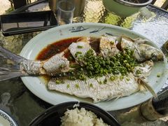 -阿巧茶庄