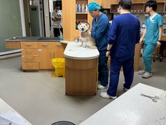 -联合动物医院(光谷诊疗中心)