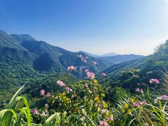 -梧桐山风景名胜区