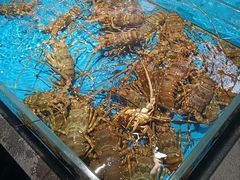 -徐记海鲜(大雁塔|金都店)