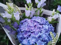 -双季花艺园艺市场(浦东店)