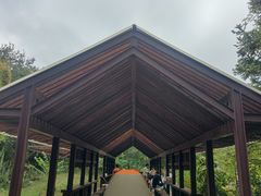 -南京市无想山景区