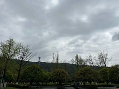 -铁山坪森林公园