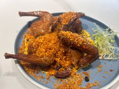 -点都德·毕德寮