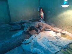 -新疆天山野生动物园