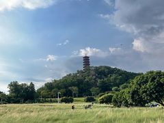 -红花山公园