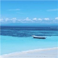 -薇兰专业脱毛连锁机构