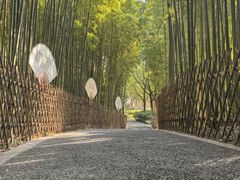 -陈家山荷花公园
