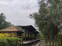 -西青郊野公园