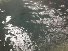 -中华郡温泉