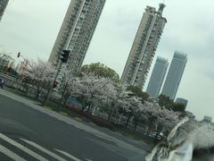 -上海基督教景灵堂