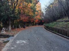 -旺山·浪头人家