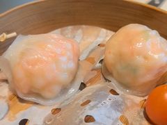 -点都德·毕德寮