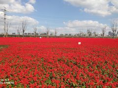 -狼山风景名胜区