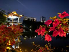 -深圳龙潭公园