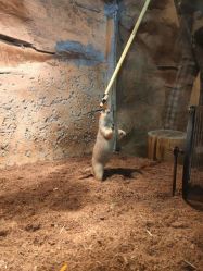 -Zoolung Zoolung动物主题公园(海信广场店)