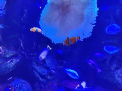 -沈阳海洋探索中心