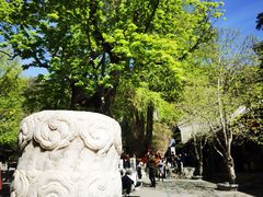 -潭柘寺景区