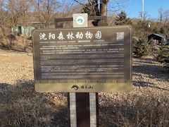 -沈阳森林动物园