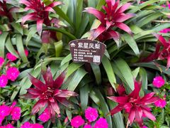 -必胜客(航洋国际店)