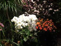 -春暖花开(西溪店)