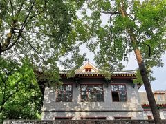 -四川大学(华西校区)