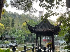 -深圳国际园林花卉博览园