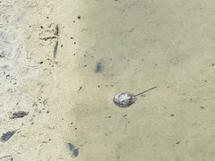 -北海金海湾红树林生态旅游区