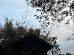 -崇阳三特浪口温泉