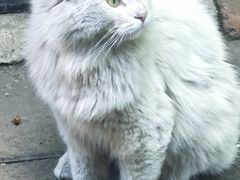 -郭守敬纪念馆