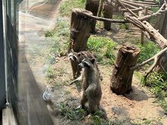 -石家庄市动物园