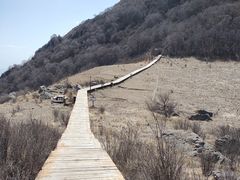 -白草畔自然风景区