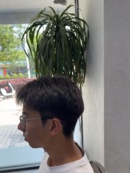 -丝源发型