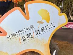 -金茂览秀城