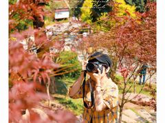 -广州市帽峰山景区