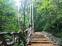 -江西阳明山国家森林公园