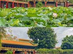 -宝墨园景区