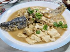 -煲来饱去冷水鱼