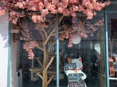 门面-喵屿·大理花园猫咖