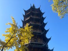 -红梅公园