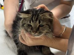 -安安宠医·臻爱宠物医院·宠保定点(营门口路分院)