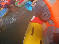 -将军关探险漂流