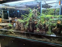 -泰谷酒店·太古码头闽菜自助餐厅