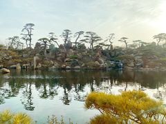 -罗红摄影艺术馆