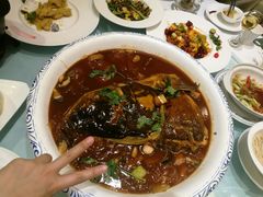 -百富源·海鲜辽菜(和平北大街店)