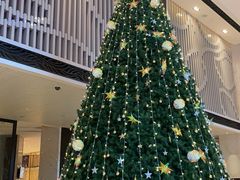 -常德武陵天济喜来登酒店-盛宴餐厅